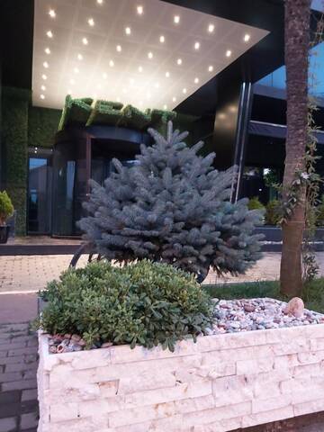 Фотографии Отель Kent Hotel г. Кобулети (Грузия) №3 Фото Отель Kent Hotel г. Кобулети 3