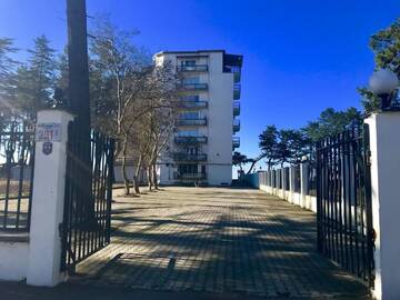 Фотографии Отели эконом-класса Kobuleti Beach Hotel г. Кобулети (Грузия) №1 Фото Отели эконом-класса Kobuleti Beach Hotel г. Кобулети 1