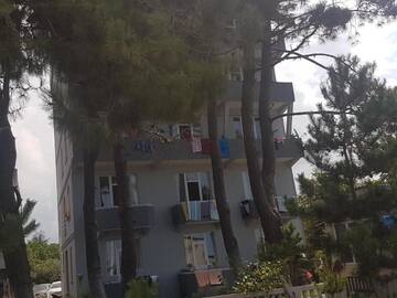 Фото Гостевой дом Midia Guest House г. Кобулети 1