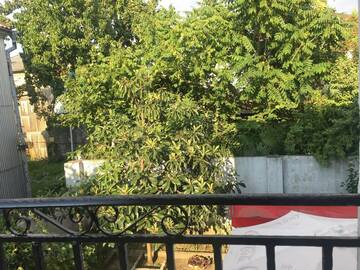 Фото номера Двухместный номер с 1 кроватью Дома для отпуска Guest house Romanadze г. Кобулети 4