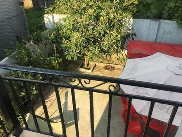 Фото номера Двухместный номер с 1 кроватью Дома для отпуска Guest house Romanadze г. Кобулети 7