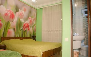 Фото номера Трехместный номер с ванной комнатой Гостевой дом Guest House Rustaveli г. Кобулети 15