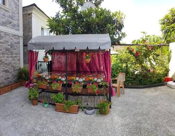 Фото Гостевой дом Guest House Rustaveli г. Кобулети 2