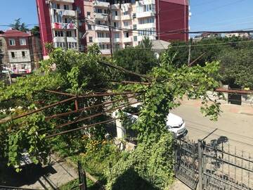 Фото номера Семейный номер с балконом Гостевой дом Jemo guests house г. Кобулети 30