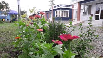 Фото Гостевой дом Cottages г. Кобулети 1